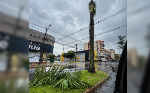 Imagem da notícia Temporal destelha casas, atinge comércios e causa alagamentos em Medianeira e região
