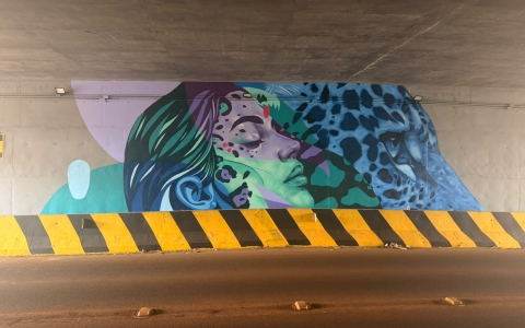 Imagem da notícia Arte urbana destaca onça-pintada e reforça identidade ambiental de Matelândia