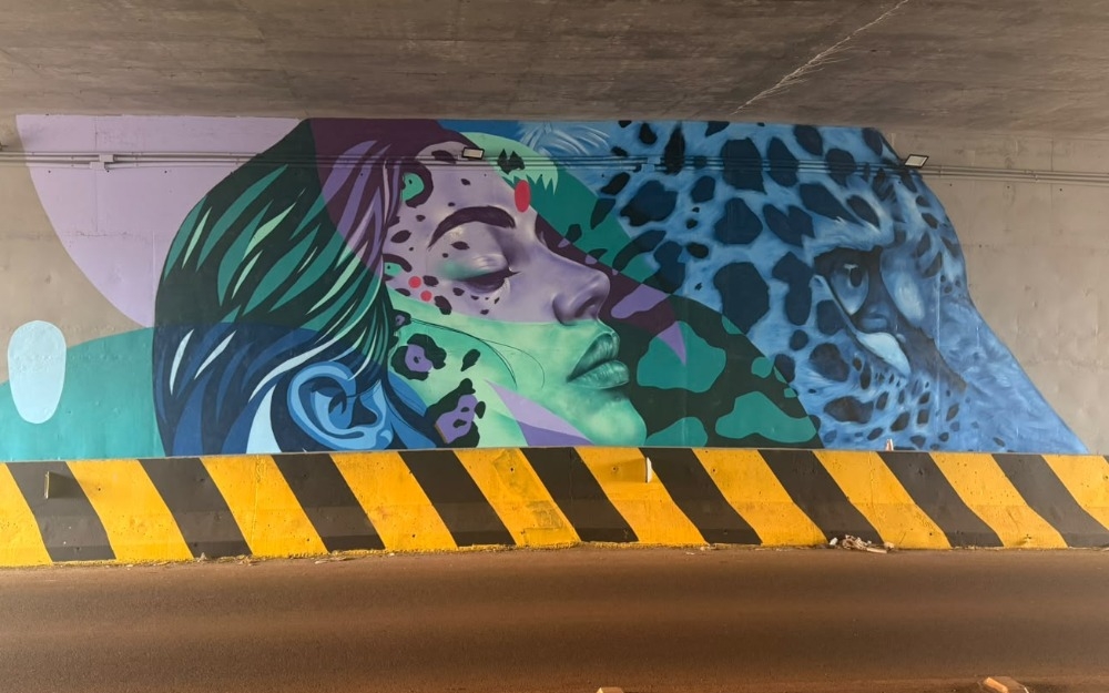 Imagem da notícia Arte urbana destaca onça-pintada e reforça identidade ambiental de Matelândia