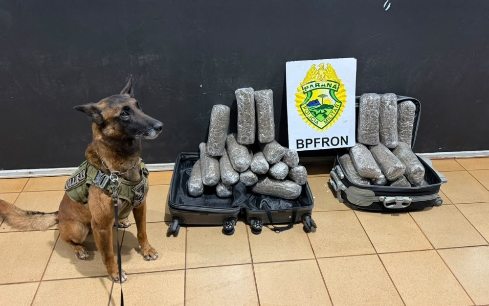 Imagem da notícia BPFRON apreende 13,3 kg de maconha em ônibus em Medianeira